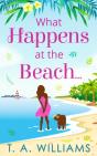 What Happens At The Beach... - Preview