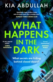 Capa do artigo What Happens In The Dark