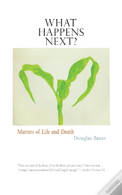 Capa do artigo What Happens Next?