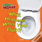 Capa do artigo What Happens When You Flush?