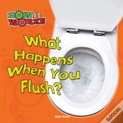Capa do artigo What Happens When You Flush?