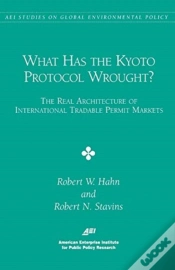 Capa do artigo What Has The Kyoto Protocol Wrought?