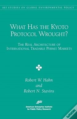 Capa do artigo What Has The Kyoto Protocol Wrought?