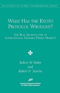 What Has The Kyoto Protocol Wrought?