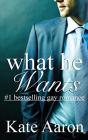 What He Wants - Preview