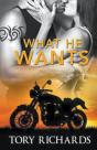 What He Wants - Preview