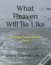 Capa do artigo What Heaven Will Be Like