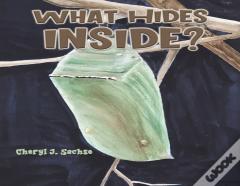 What Hides Inside?