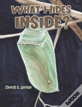What Hides Inside?