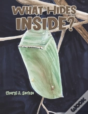 Capa do artigo What Hides Inside?