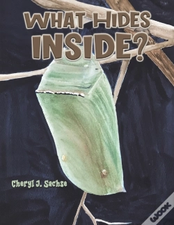 Capa do artigo What Hides Inside?