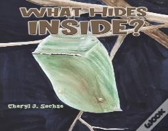 What Hides Inside?