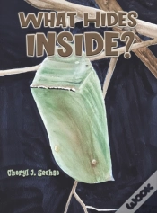 Capa do artigo What Hides Inside?