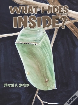 Capa do artigo What Hides Inside?