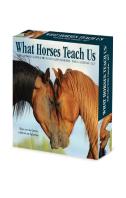What Horses Teach Us 2027 Box