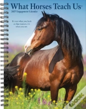 Capa do artigo What Horses Teach Us 2027 Engagement