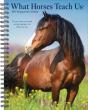 What Horses Teach Us 2027 Engagement - Preview