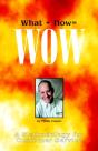 What + How = Wow - Preview