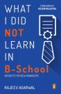 What I Did Not Learn In B School - Preview