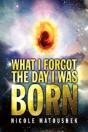 What I Forgot The Day I Was Born - Preview