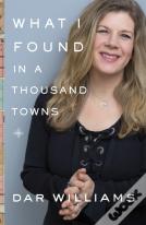 What I Found In A Thousand Towns