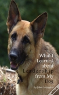 Capa do artigo What I Learned About Leadership From My