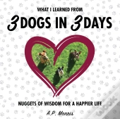 What I Learned From 3 Dogs In 3 Days
