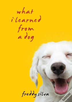 Capa do artigo What I Learned From A Dog