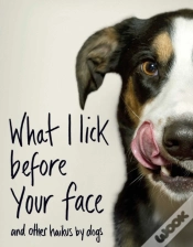 Capa do artigo What I Lick Before Your Face