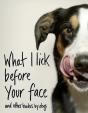 What I Lick Before Your Face - Preview