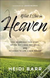 Capa do artigo What I Saw In Heaven