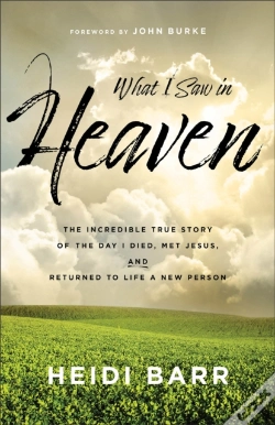 Capa do artigo What I Saw In Heaven