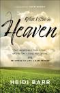 What I Saw In Heaven - Preview