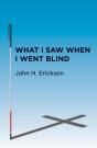 What I Saw When I Went Blind - Preview