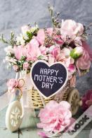 What I Want To Know About Mom