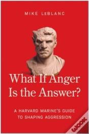 Capa do artigo What If Anger Is The Answer?