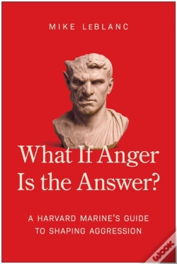 Capa do artigo What If Anger Is The Answer?