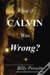 Capa do artigo What If Calvin Was Wrong?