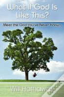What If God Is Like This?