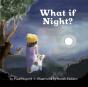 What If Night? - Preview