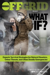 Capa do artigo What If?