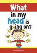 What In My Head Is Going On?