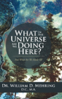 What In The Universe Are We Doing Here? - Preview
