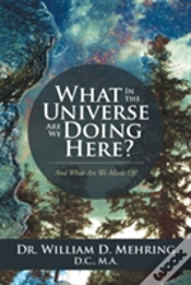 Capa do artigo What In The Universe Are We Doing Here?