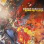 What In The World ... - CD - Preview