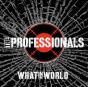 What in the World - Vinil - Preview