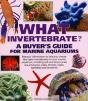 What Invertebrate? - Preview