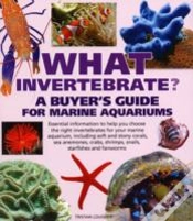 Capa do artigo What Invertebrate?