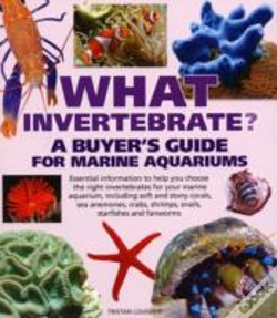 Capa do artigo What Invertebrate?