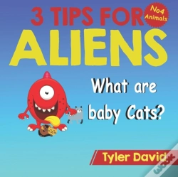 Capa do artigo What Is A Baby Cat?
